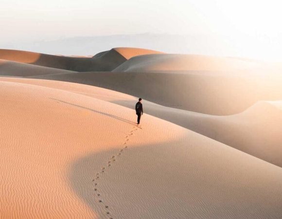 8 days  Alexandria  And Siwa oasis